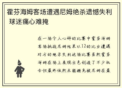 霍芬海姆客场遭遇尼姆绝杀遗憾失利 球迷痛心难掩